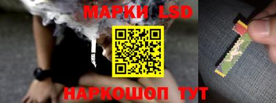 Альфа ПВП Заводоуковск