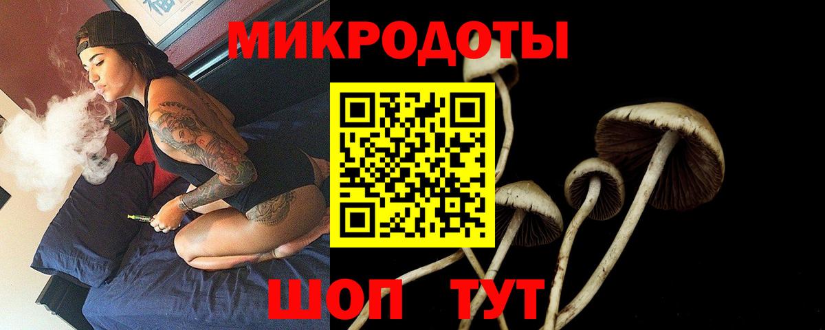 Дальнегорск  Псилоцибиновые грибы Magic Shrooms  Вход с VPN 